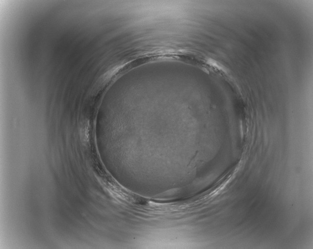 X0000066101161200603131222