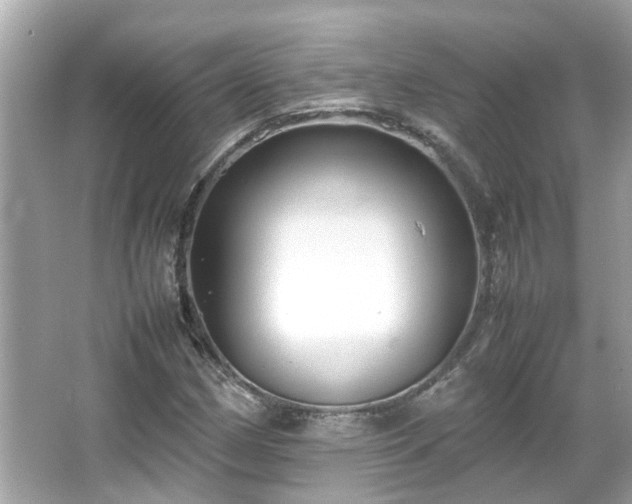 X0000066101162200603131222