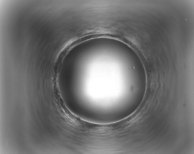 X0000066101163200603131222