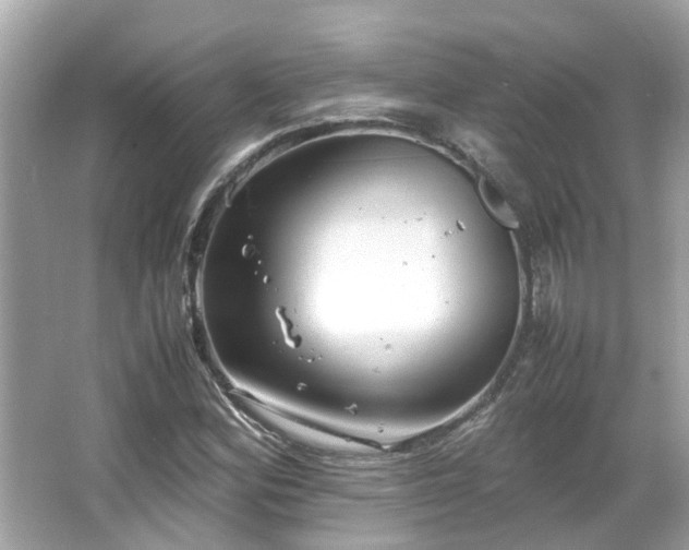 X0000066101164200603131222