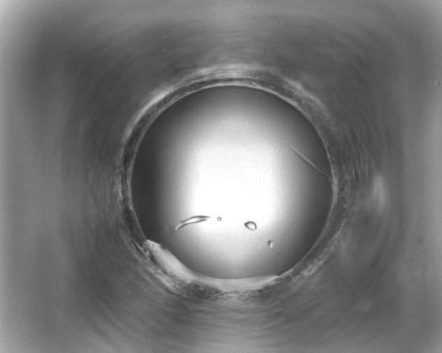 X0000066101166200603131222