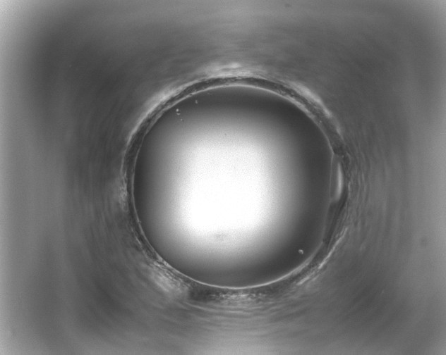 X0000066101167200603131222