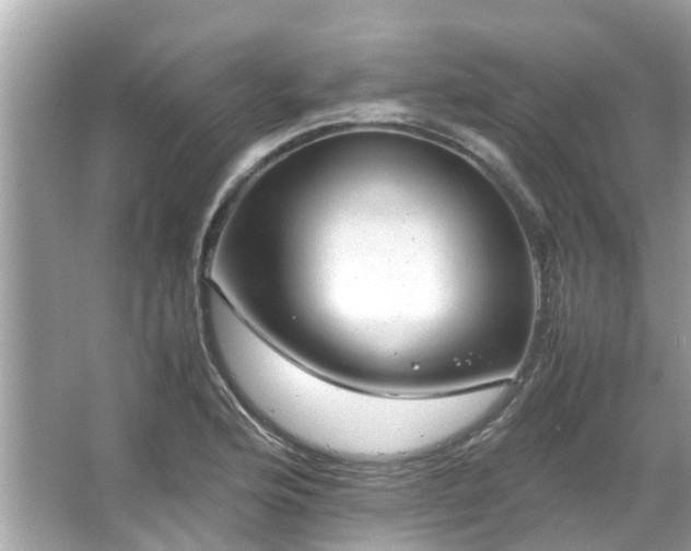 X0000066101176200603131222