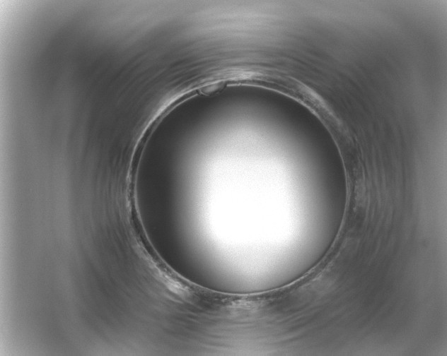 X0000066101178200603131222