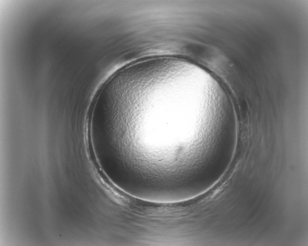 X0000066101179200603131222