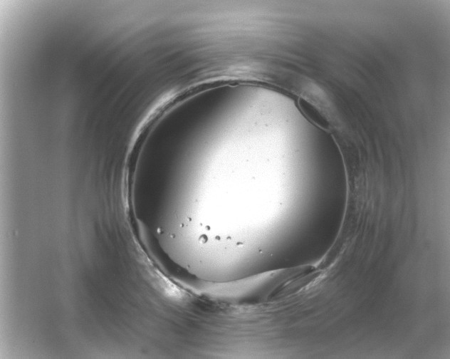 X0000066101180200603131222