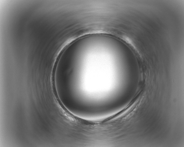 X0000066101181200603131222