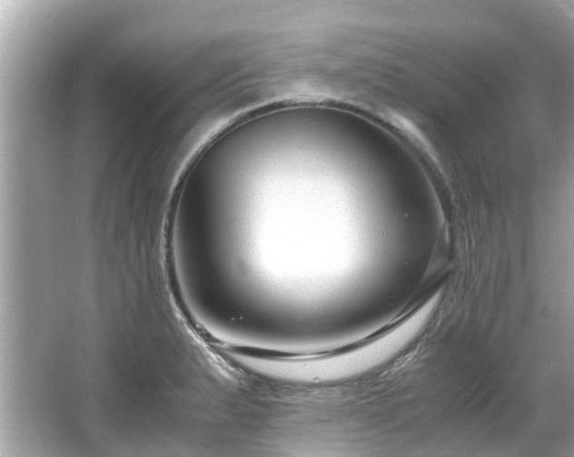 X0000066101183200603131222