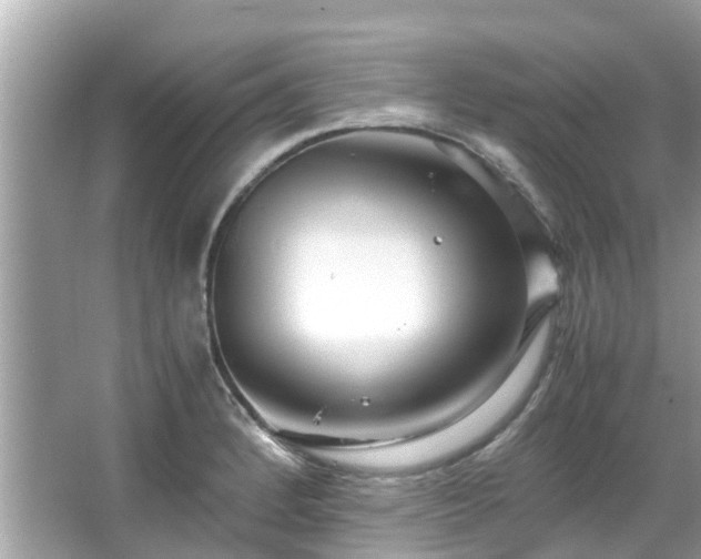 X0000066101184200603131222