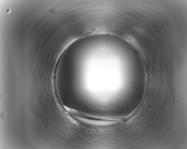 X0000066101190200603131222