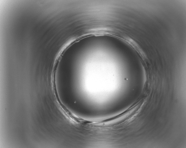 X0000066101196200603131222