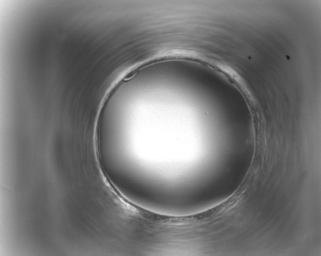 X0000066101199200603131222