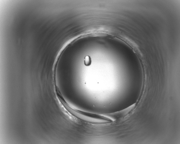 X0000066101200200603131222