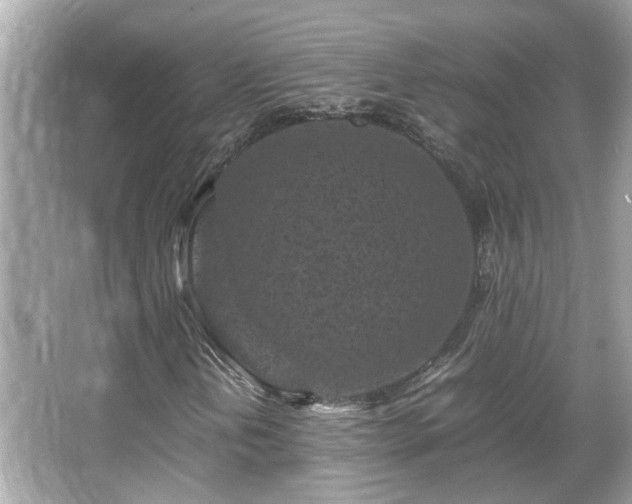 X0000066101202200603131221