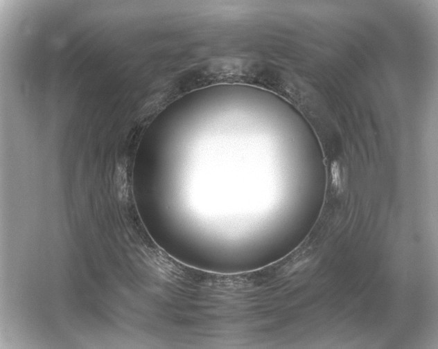 X0000066101203200603131221