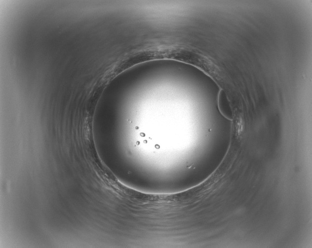 X0000066101204200603131221