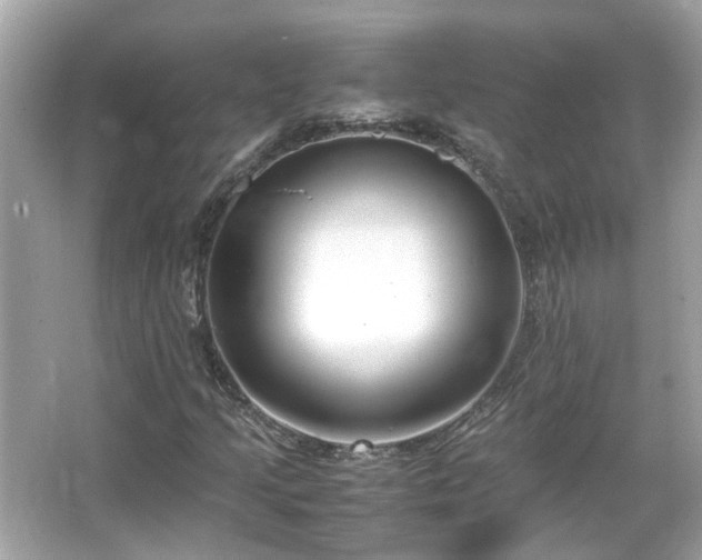 X0000066101205200603131221