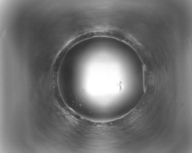 X0000066101208200603131221