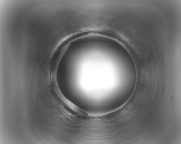 X0000066101214200603131221