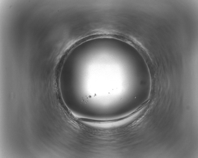 X0000066101215200603131221