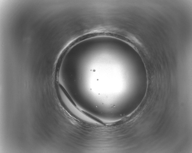 X0000066101216200603131221