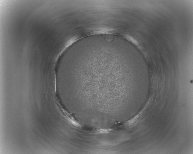 X0000066101219200603131221