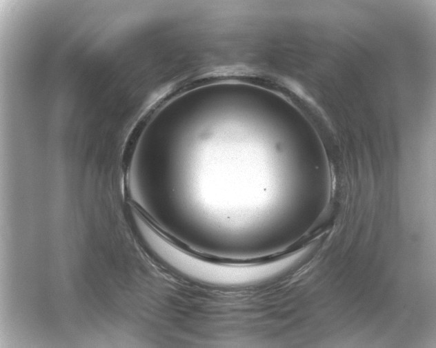 X0000066101221200603131221