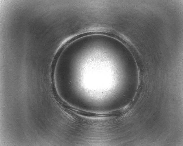 X0000066101222200603131221