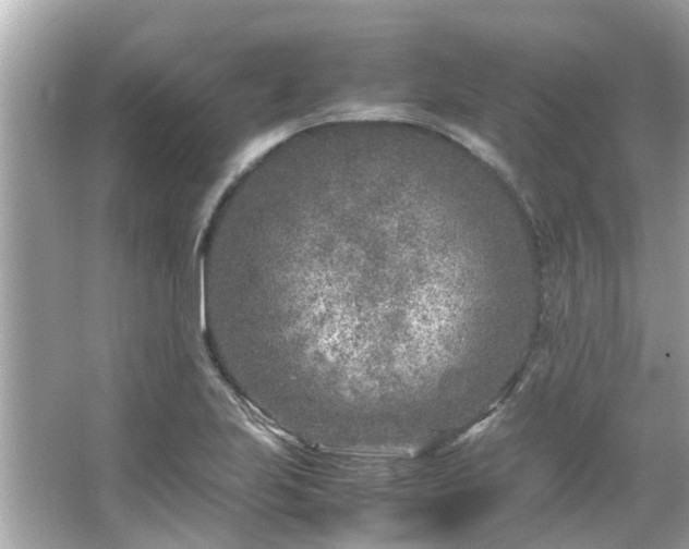 X0000066101223200603131221