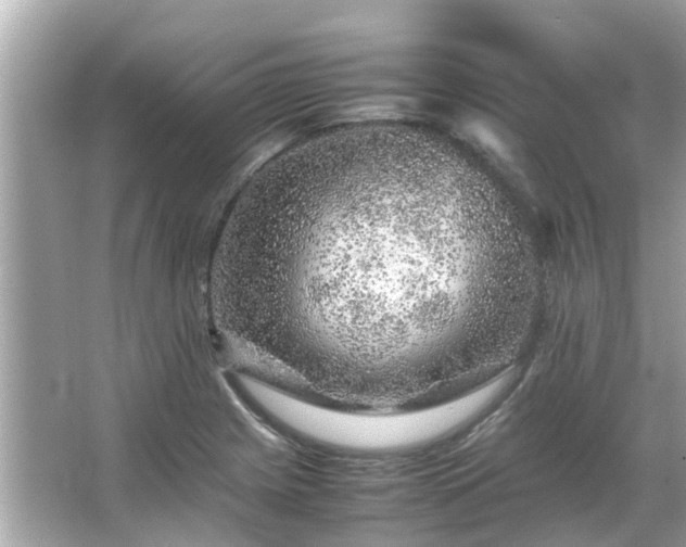 X0000066101225200603131221