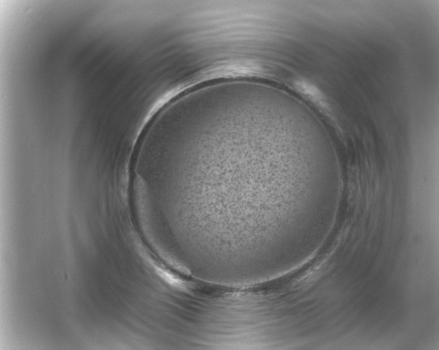 X0000066101226200603131221