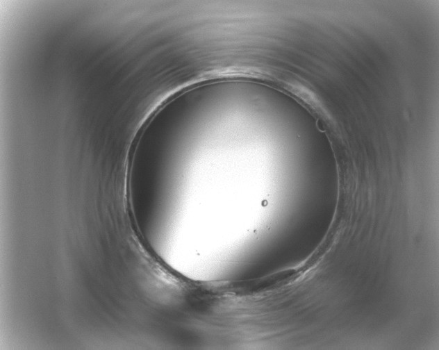 X0000066101228200603131221