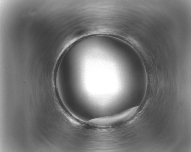 X0000066101230200603131221