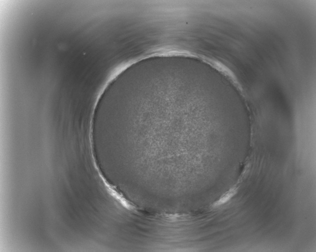 X0000066101231200603131221