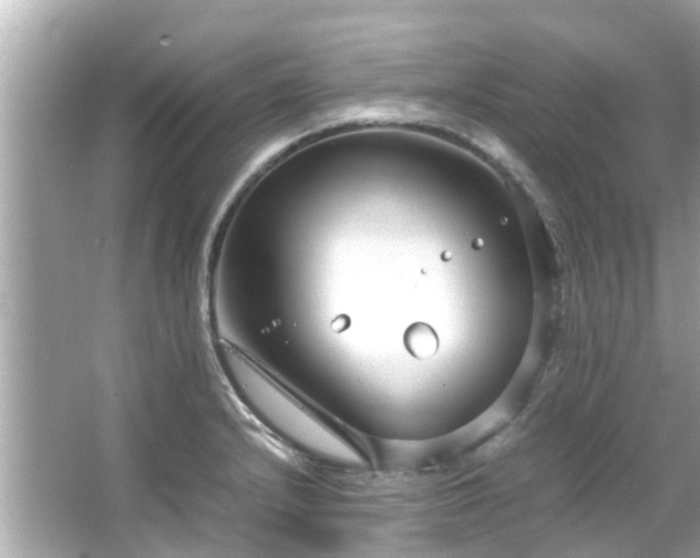 X0000066101232200603131221