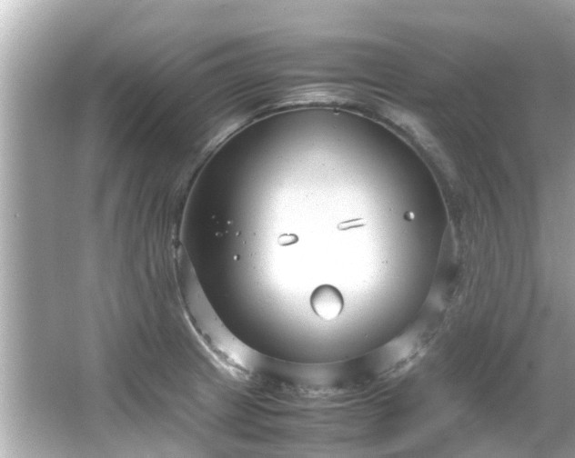 X0000066101233200603131221