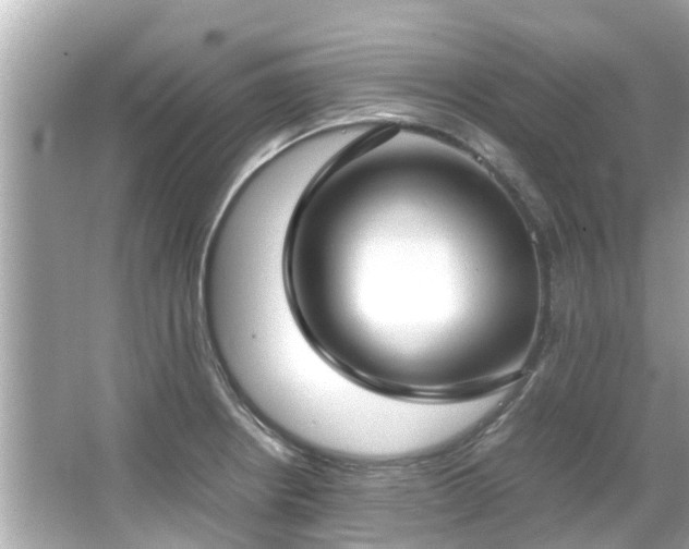 X0000066101234200603131221