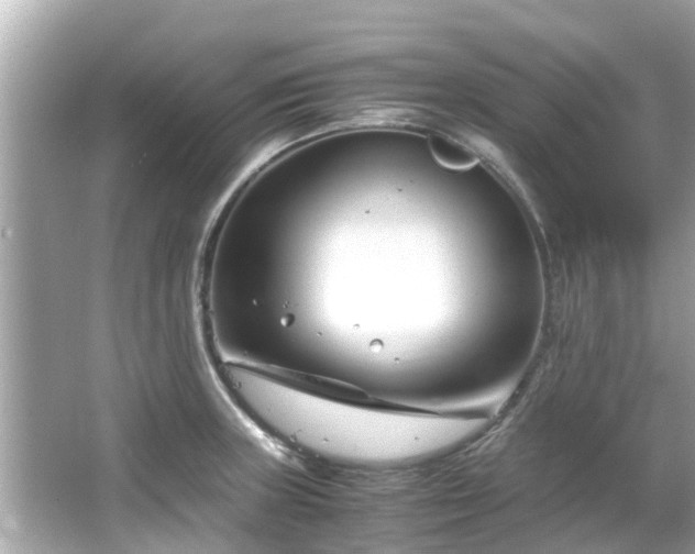 X0000066101235200603131221