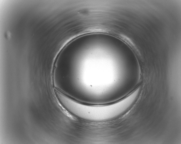 X0000066101236200603131221