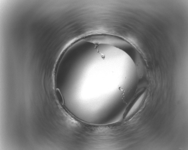 X0000066101238200603131221