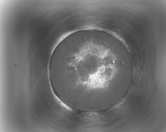 X0000066101239200603131221