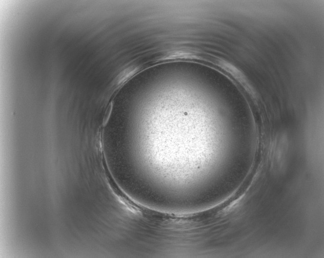 X0000066101241200603131221