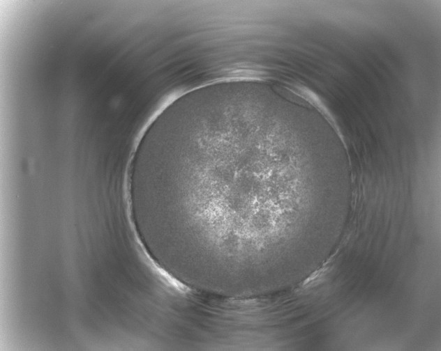 X0000066101243200603131221