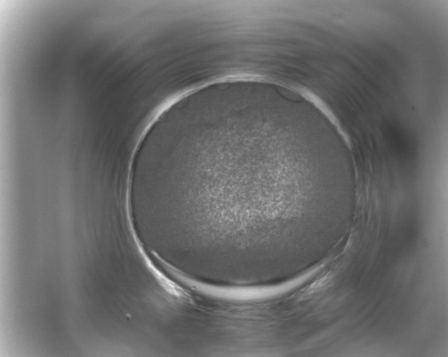 X0000066101245200603131221