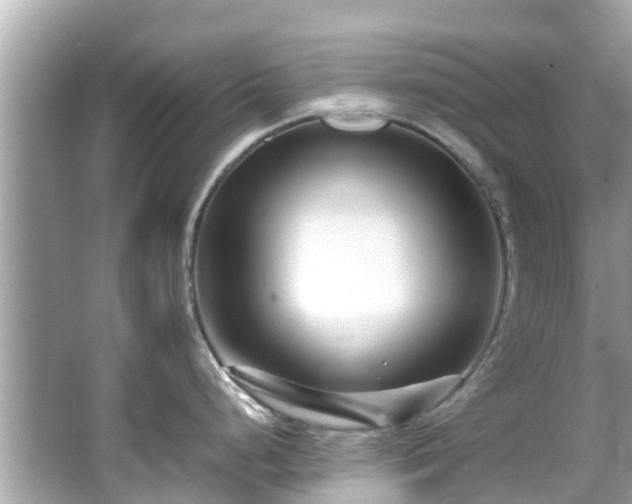 X0000066101248200603131222