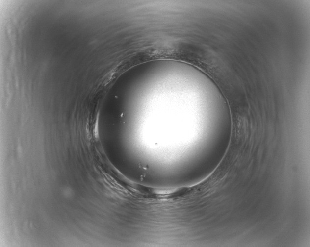 X0000066101250200603131221