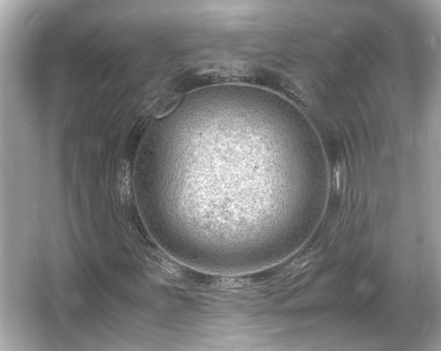 X0000066101251200603131221