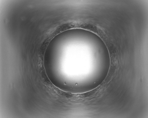 X0000066101253200603131221