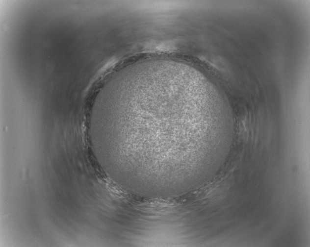 X0000066101254200603131221