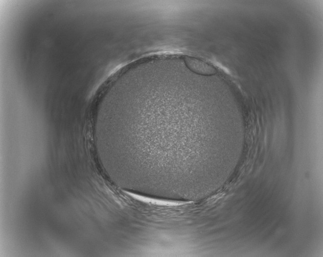 X0000066101255200603131221